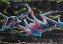 Photo #81429 by Homs