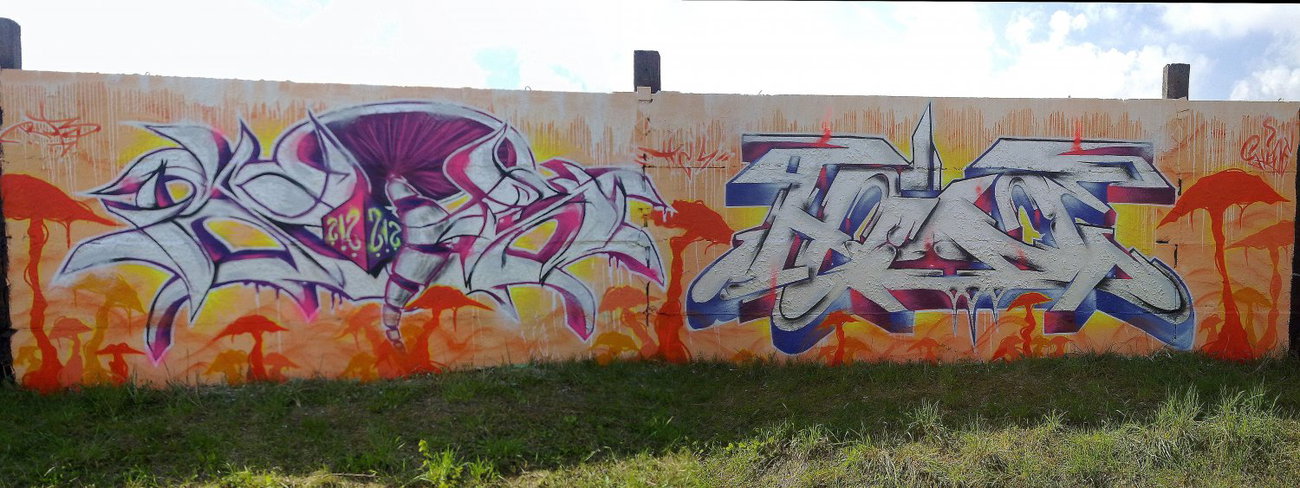 Graffiti Wall - Photo by HideHauer - tcs, ruts, bz (2014)