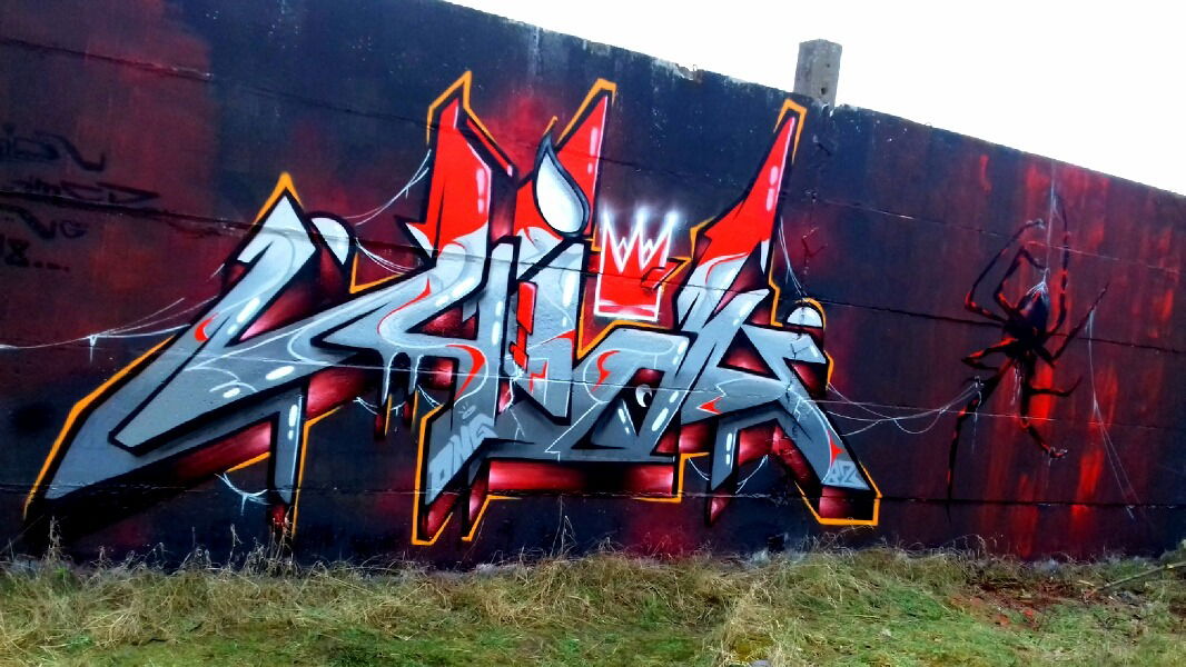 Graffiti Wall - Photo by HideHauer - hide, hauer, spider (2018)