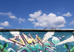 Photo #229797 by Belt