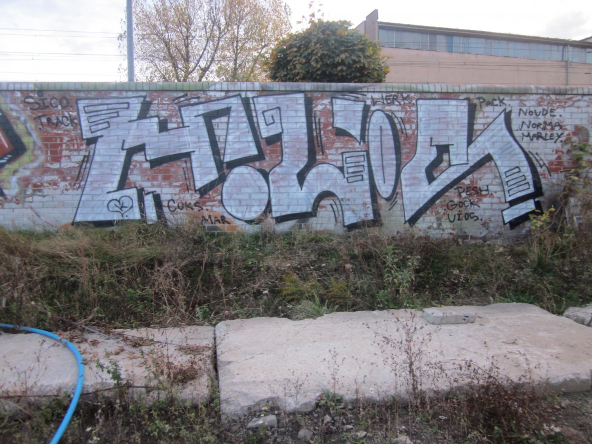 Graffiti Bombing - Photo by Hilary90