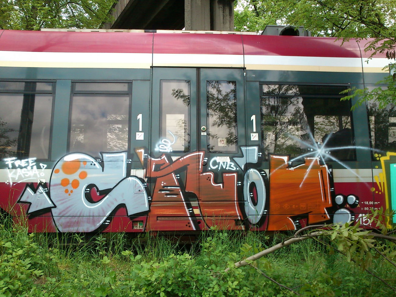 Graffiti Train - Photo by Hilary90 - cnb
