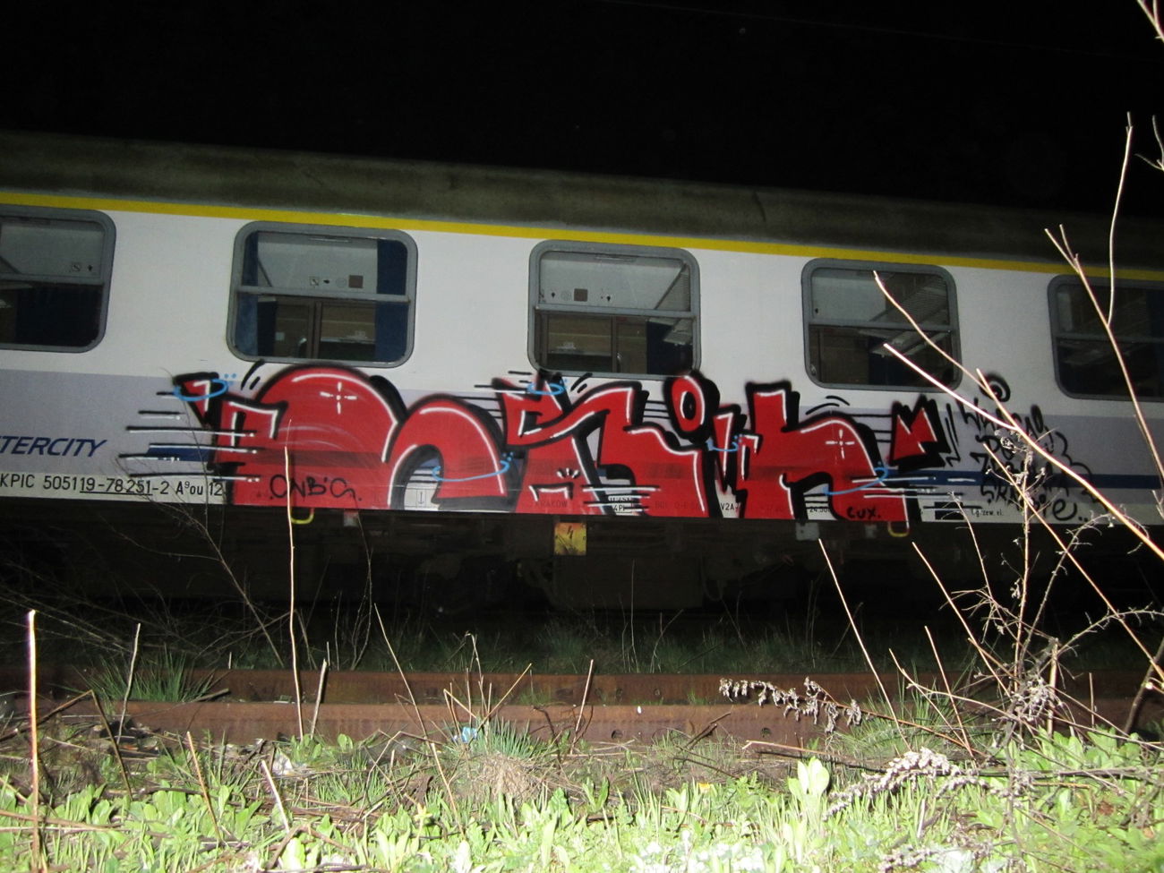 Graffiti Train - Photo by Hilary90 - cnb