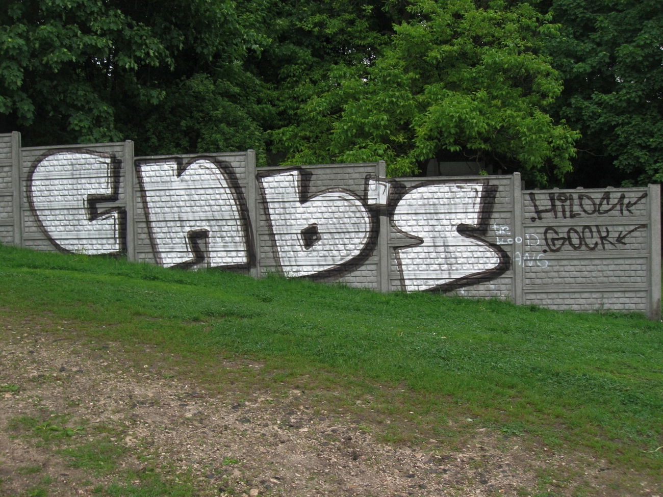 Graffiti Bombing - Photo by Hilary90 - cnb