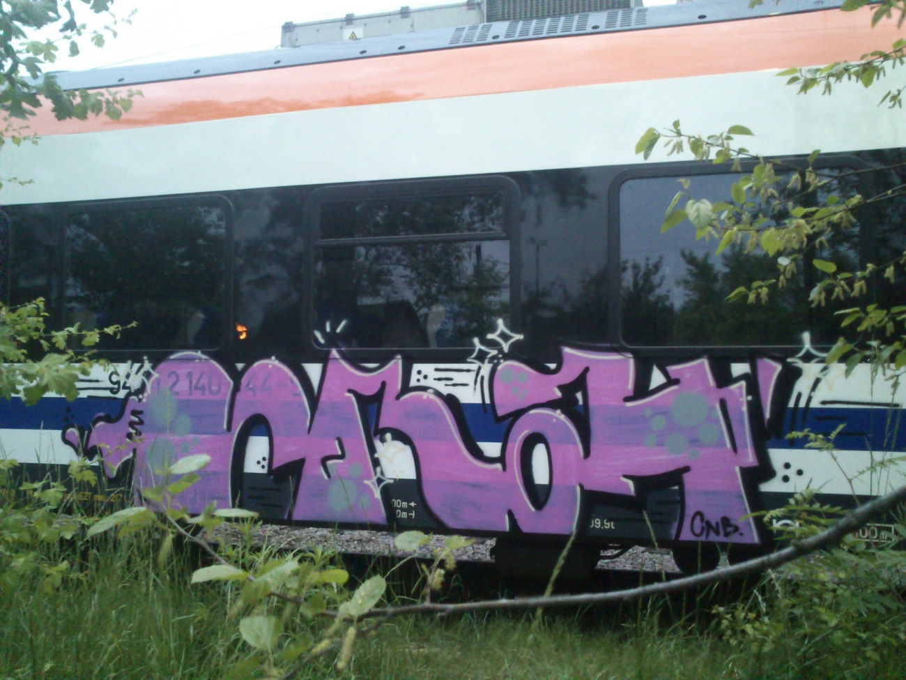 Graffiti Train - Photo by Hilary90 - cnb