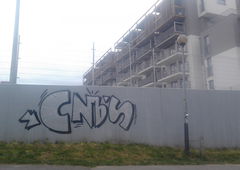 Photo #157909 by MENO