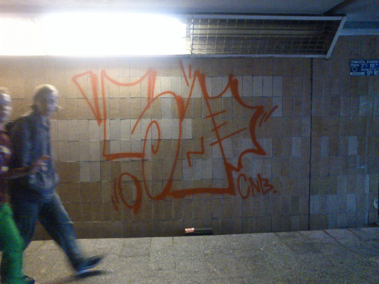 Graffiti Bombing - Photo by Hilary90 - cnb