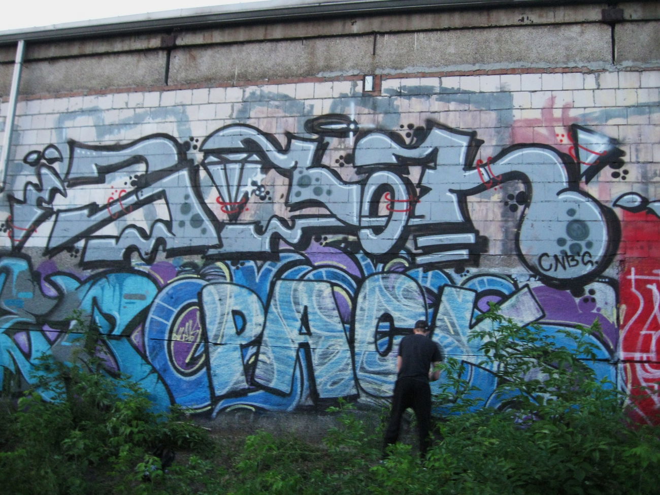 Graffiti Bombing - Photo by Hilary90