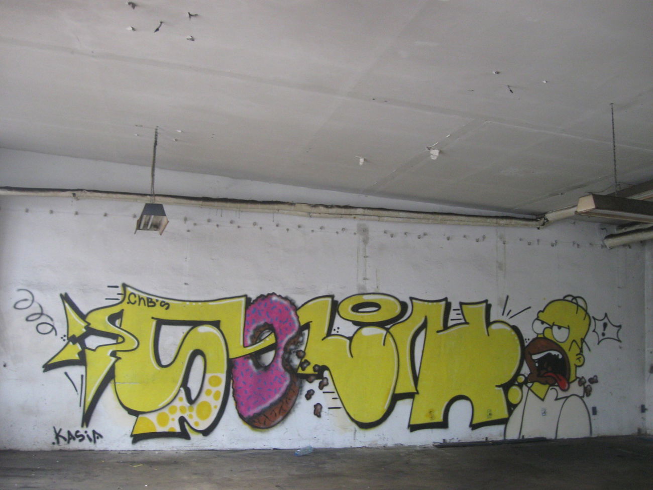 Graffiti Bombing - Photo by Hilary90 - cnb