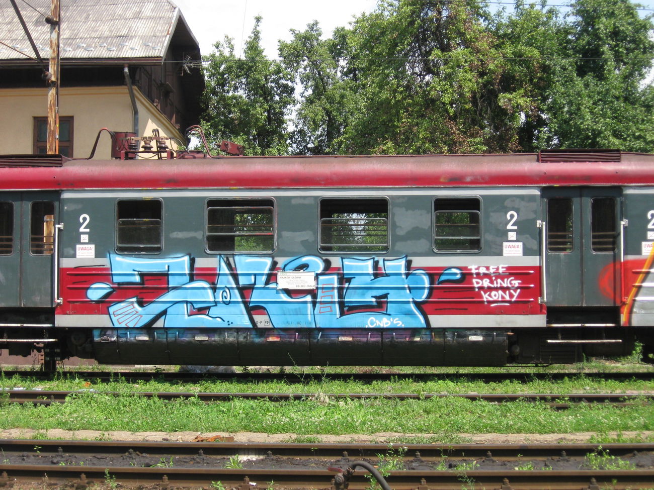 Graffiti Train - Photo by Hilary90