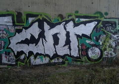 Photo #51099 by BEAK