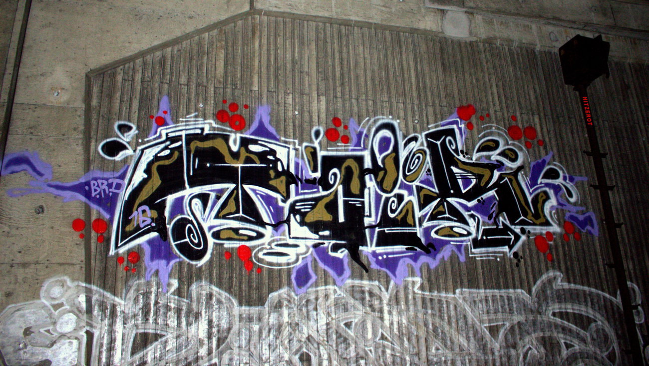 Graffiti Bombing - Photo by Hitzerot - TOIRIOT, BRD, TOIR