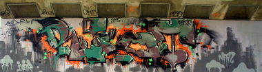 Graffiti Wall - Photo by Hitzerot - Brd´s, riot, toir