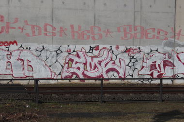 Graffiti Bombing - Photo by Hodenkobolt