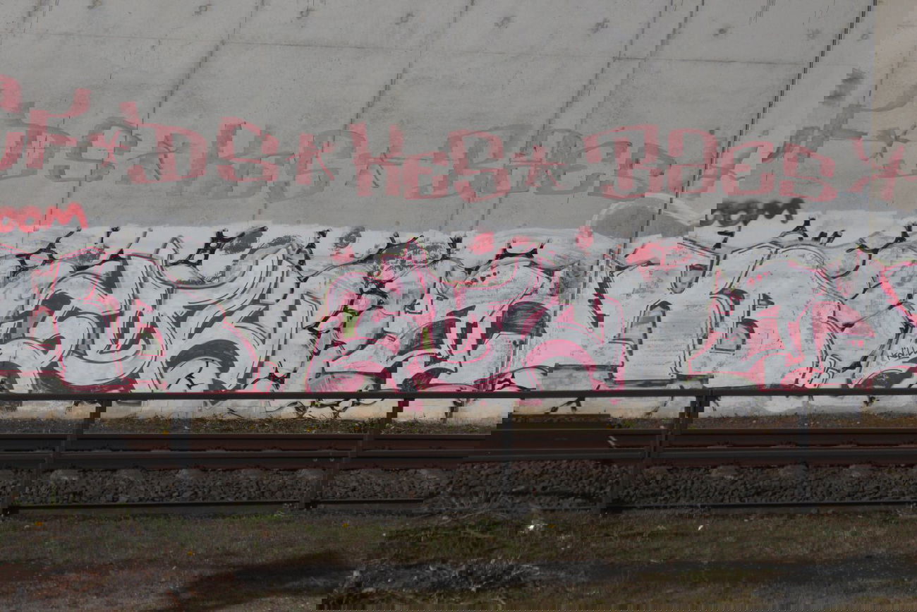 Graffiti Bombing - Photo by Hodenkobolt