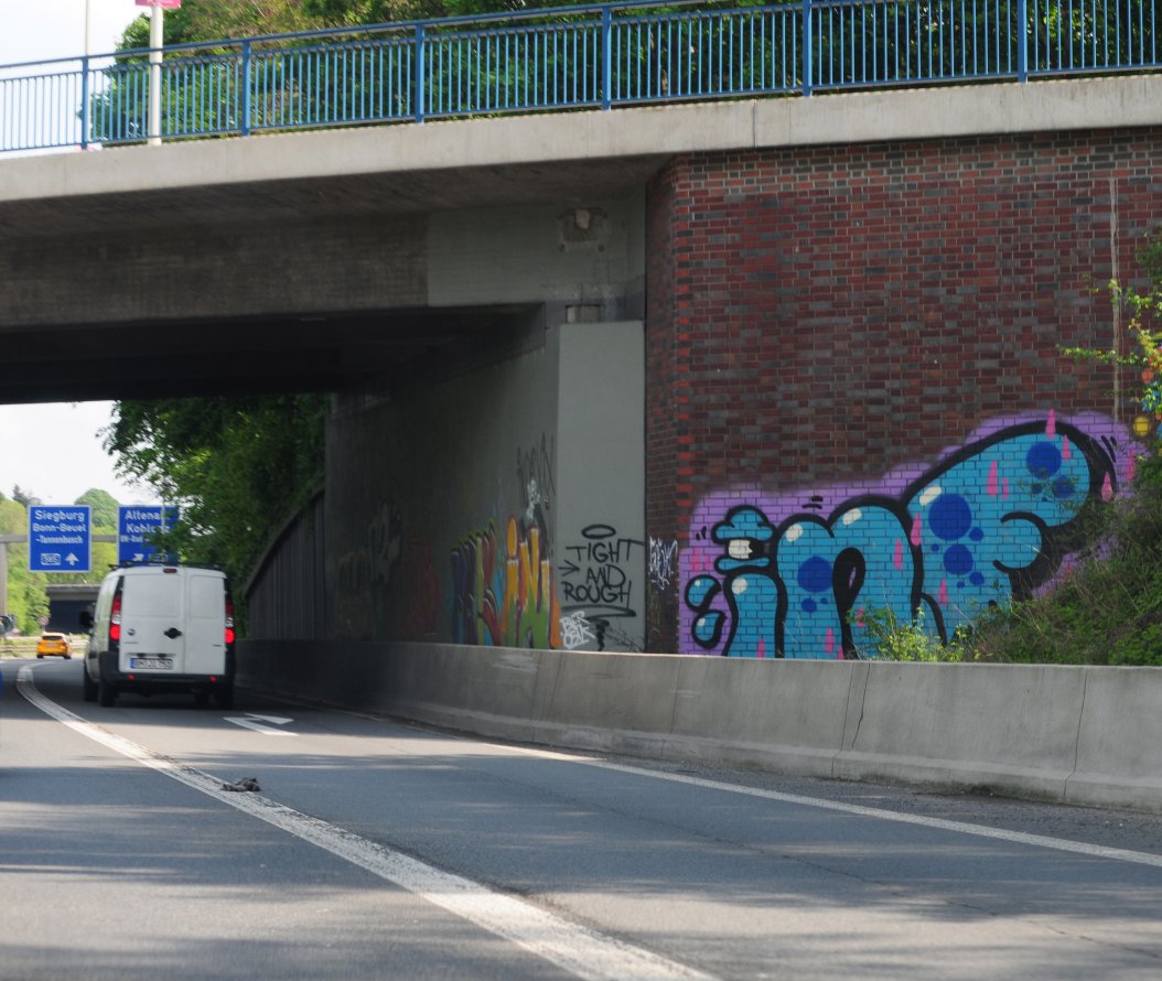 Graffiti Bombing - Photo by Hodenkobolt - INF