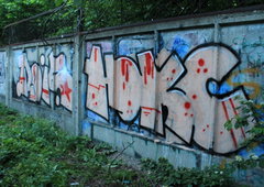 Photo #12431 by Rois