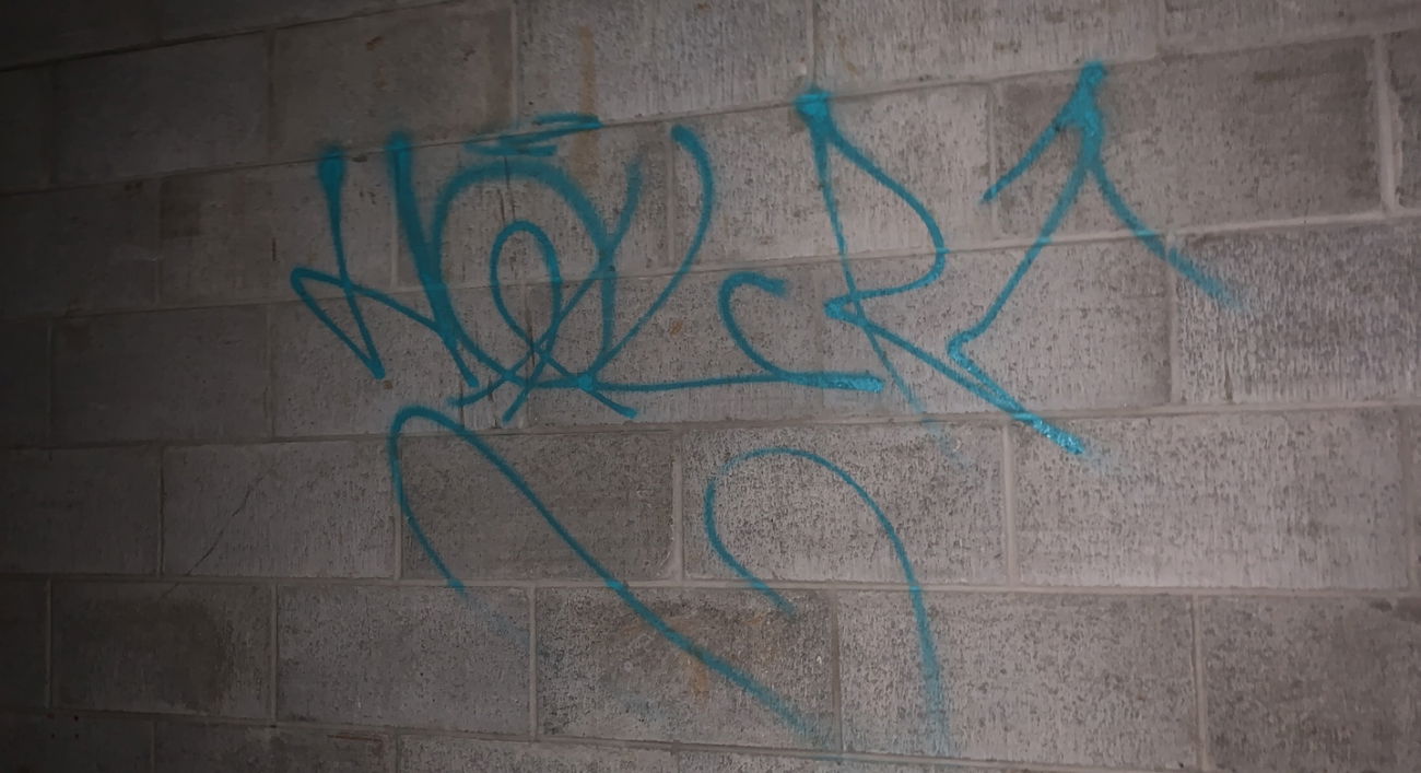 Graffiti Bombing - Photo by Holr