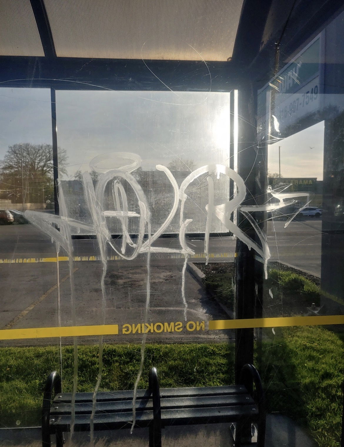 Graffiti Bombing - Photo by Holr