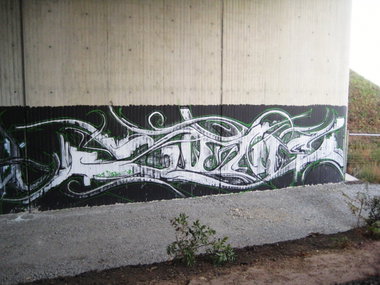 Graffiti Wall - Photo by Holzer - Zone, 169 (2012)