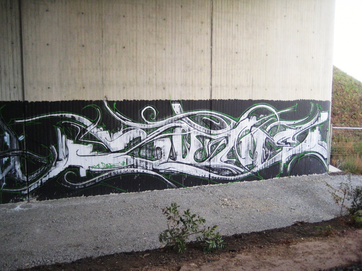 Graffiti Wall - Photo by Holzer - Zone, 169 (2012)