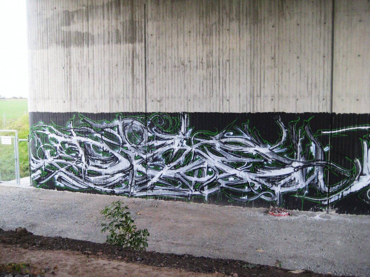 Graffiti Wall - Photo by Holzer - Dice (2012)