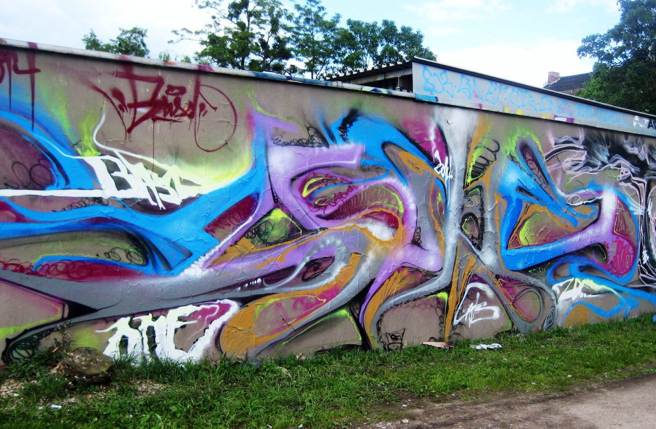 Graffiti Wall - Photo by Holzer - Zone (2014)