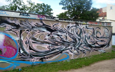 Graffiti Wall - Photo by Holzer - Dice (2014)
