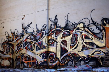Graffiti Wall - Photo by Holzer - Zone (2012)
