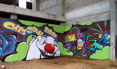 Graffiti Wall - Photo by Holzer - JOKE, BASD, TMV (2014)