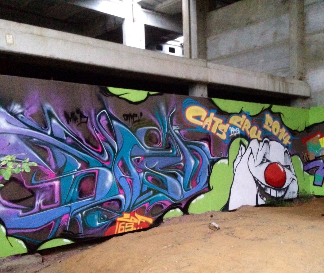 Graffiti Wall - Photo by Holzer - BASD, JOKE, TMV (2014)