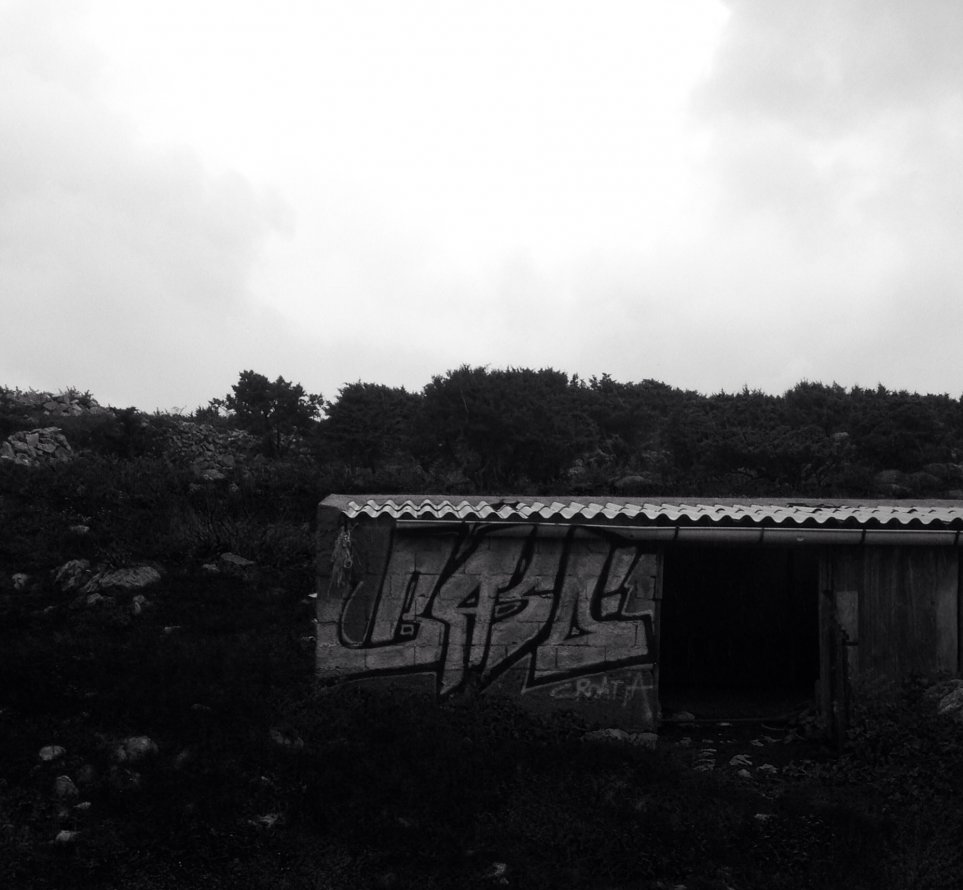 Graffiti Wall - Photo by Holzer - BASD (2014)