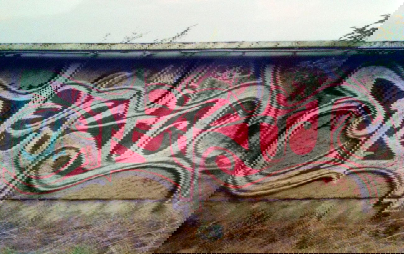 Graffiti Wall - Photo by Holzer - BASD (2004)