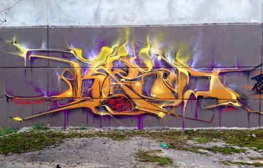 Graffiti Wall - Photo by Holzer - BASD (2014)