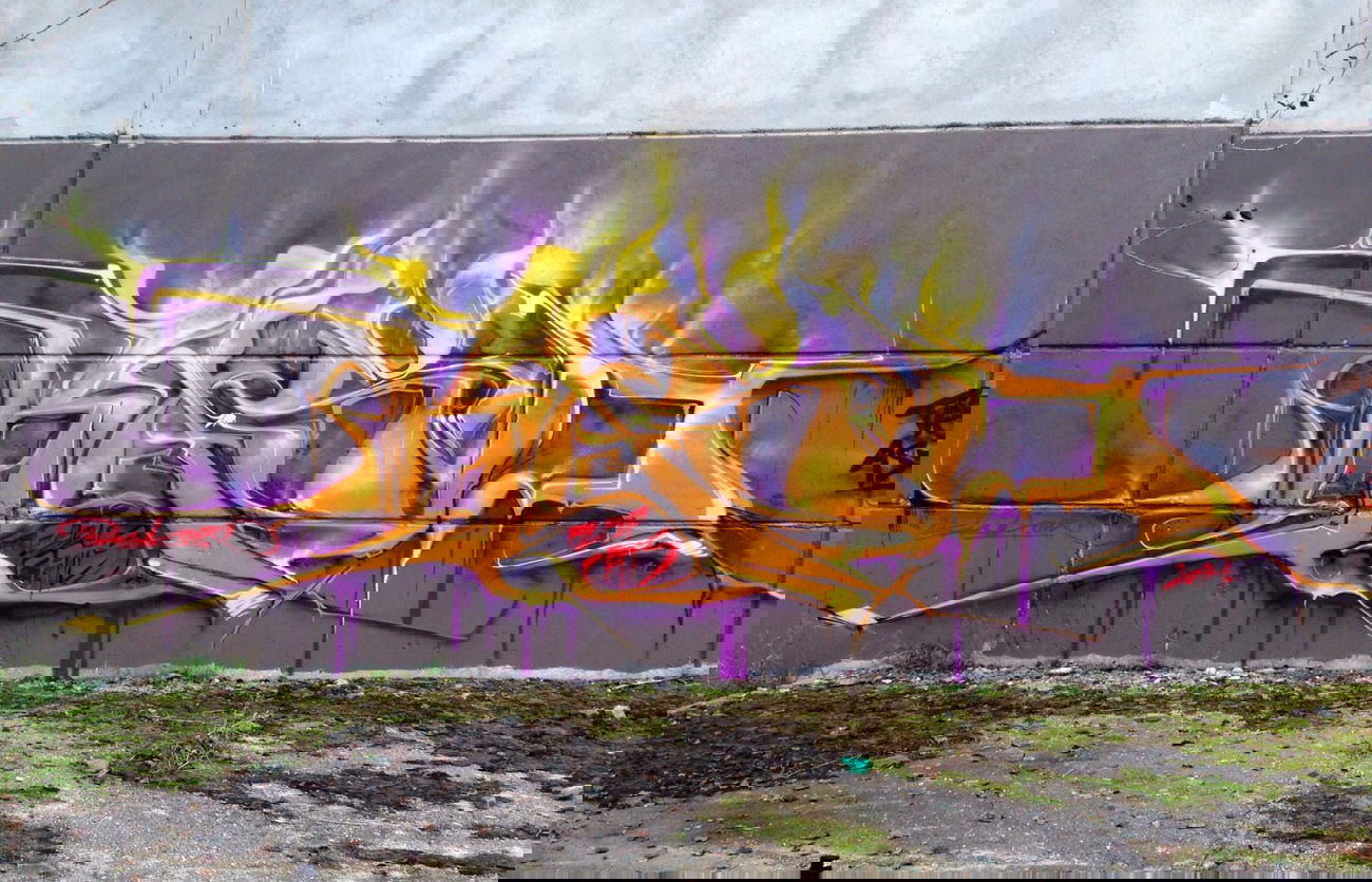 Graffiti Wall - Photo by Holzer - BASD (2014)