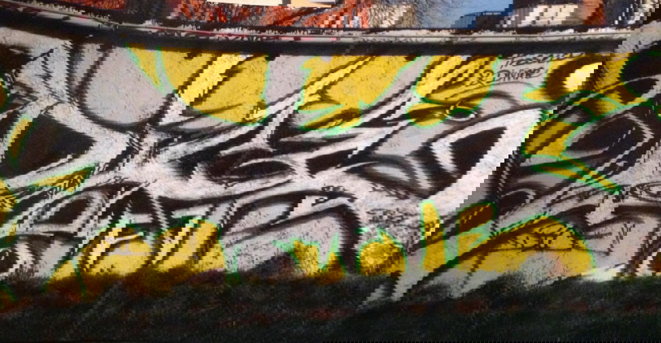 Graffiti Wall - Photo by Holzer - DICE (2004)