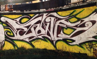 Graffiti Wall - Photo by Holzer - ZONE, BASD (2004)