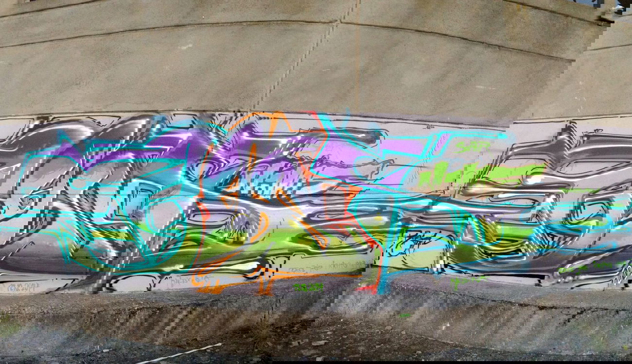 Graffiti Wall - Photo by Holzer - BASD (2014)