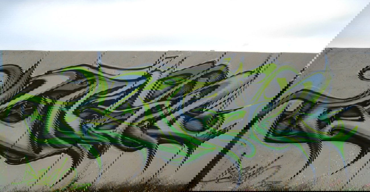 Graffiti Wall - Photo by Holzer - BASD (2007)