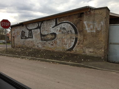 Graffiti Bombing - Photo by Holzer (2017)