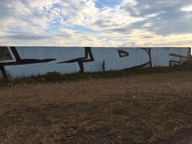 Graffiti Bombing - Photo by Holzer (2016)