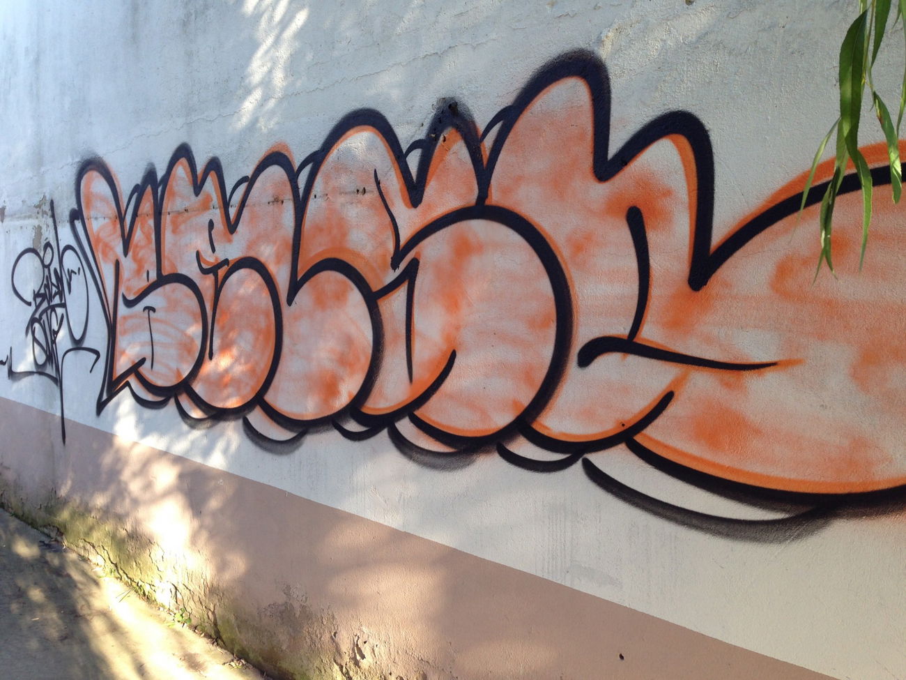 Graffiti Bombing - Photo by Holzer (2015)