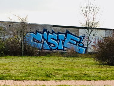 Graffiti Bombing - Photo by Holzer (2017)