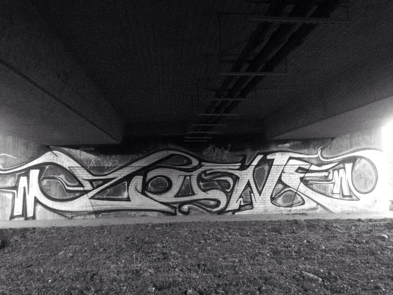 Graffiti Wall - Photo by Holzer - Zone169 (2015)