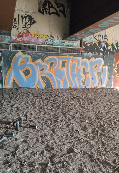 Graffiti Bombing - Photo by Homie