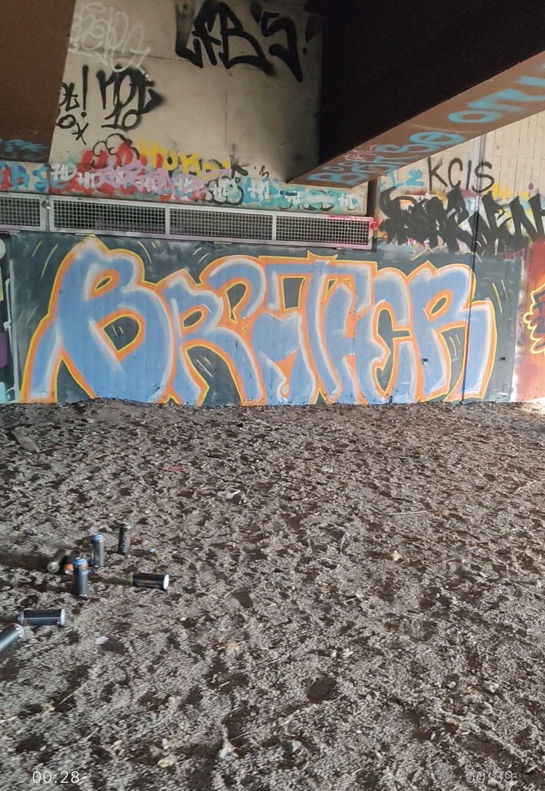 Graffiti Bombing - Photo by Homie