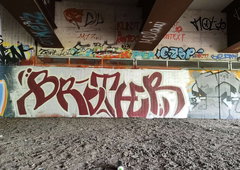 Photo #251356 by iobe1