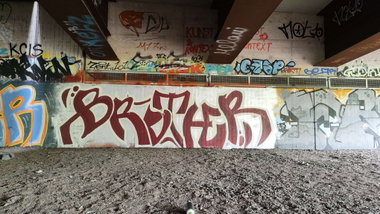 Graffiti Bombing - Photo by Homie