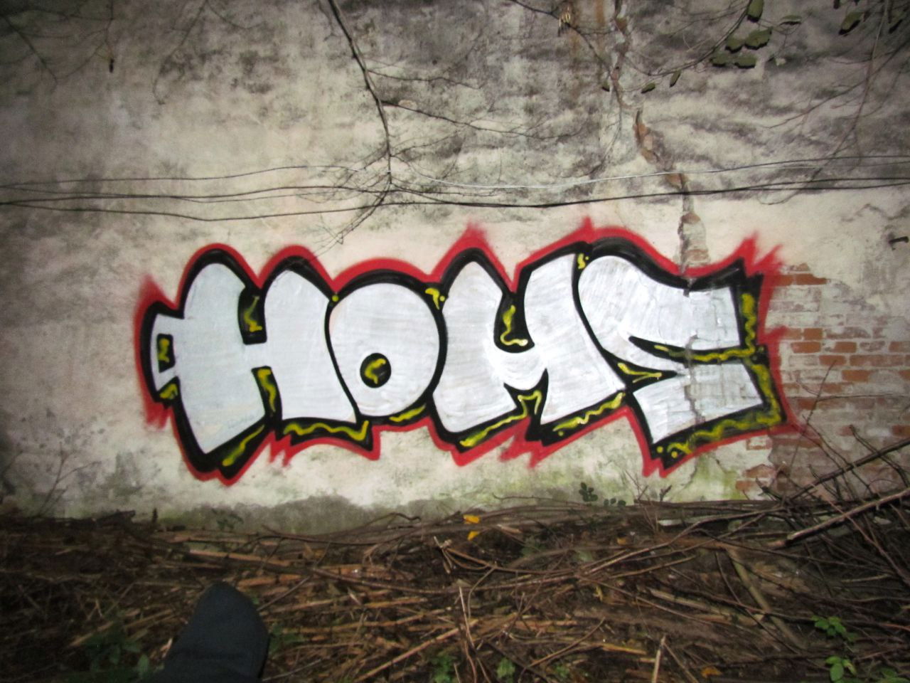 Graffiti Bombing - Photo by Homs - Homs