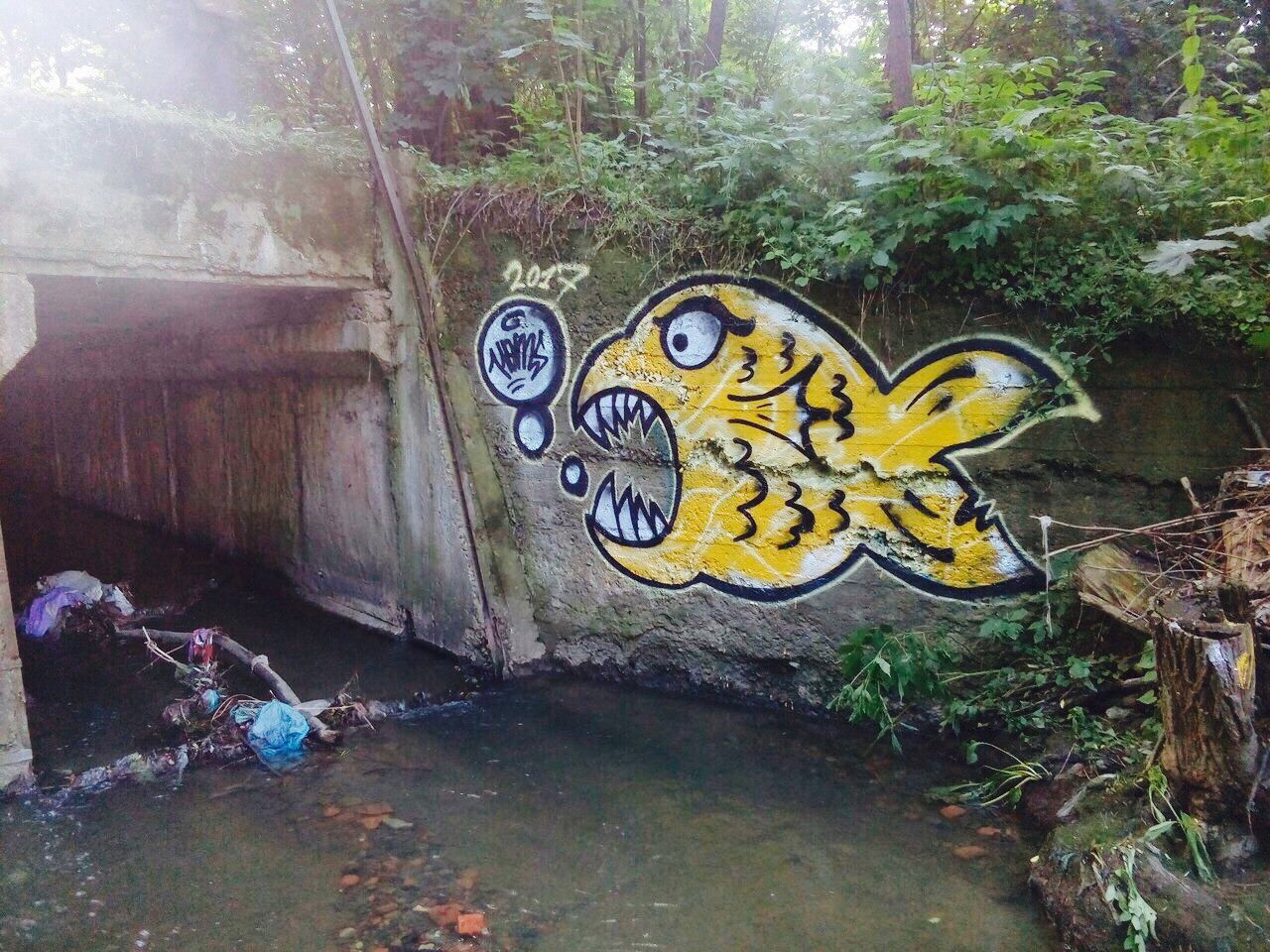 Graffiti Artwork - Photo by Homs - Homs